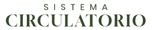 Sistema Circulatorio