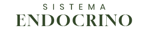 Sistema Endocrino