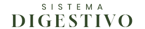 Sistema digestivo