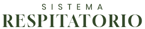 Sistema Respiratorio